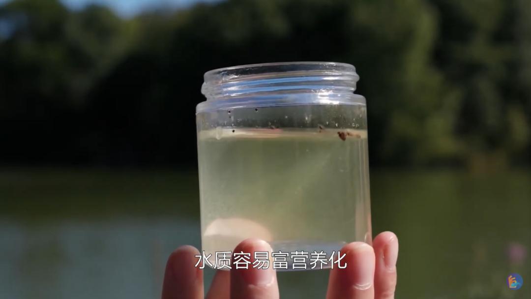 吃鱼有腥味如何去除,吃鱼有腥味怎么去