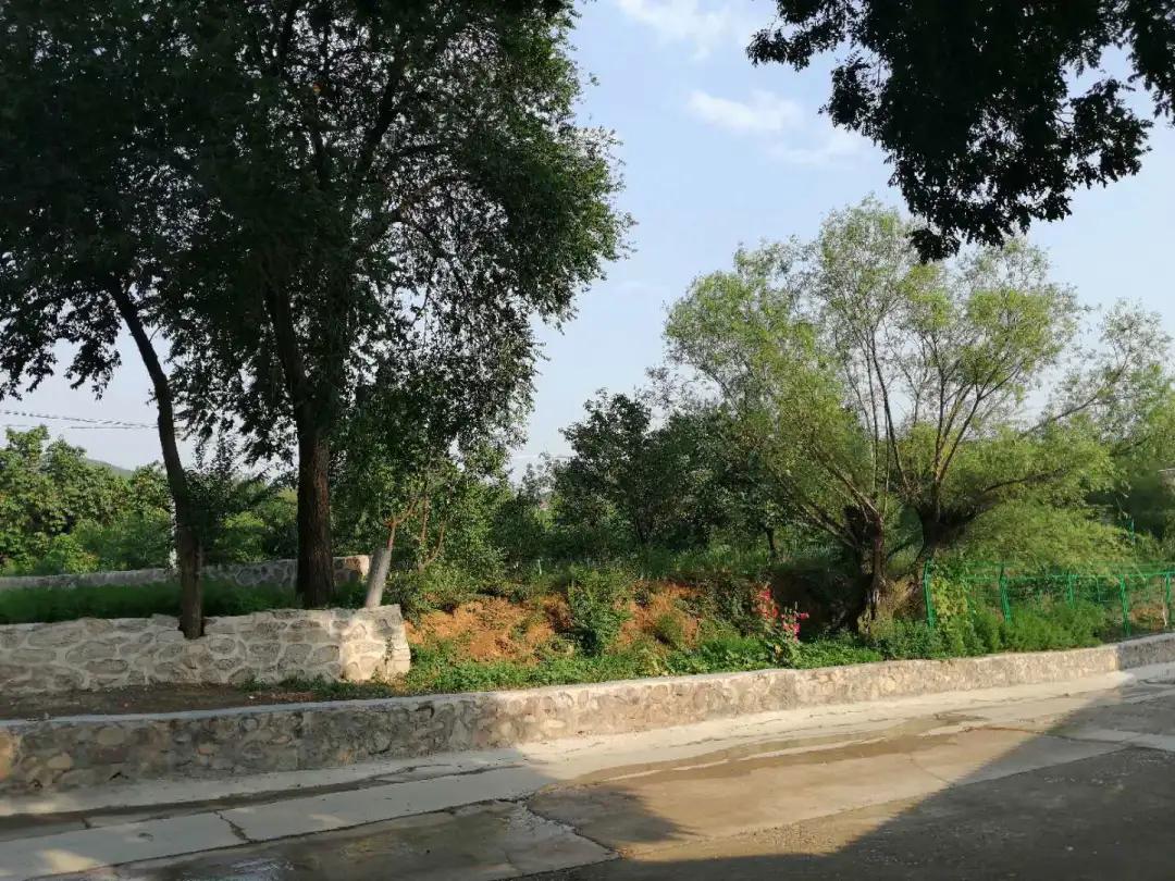 有人说北京农村院子年租金太高，5户农民网上出租院子揭价格真相