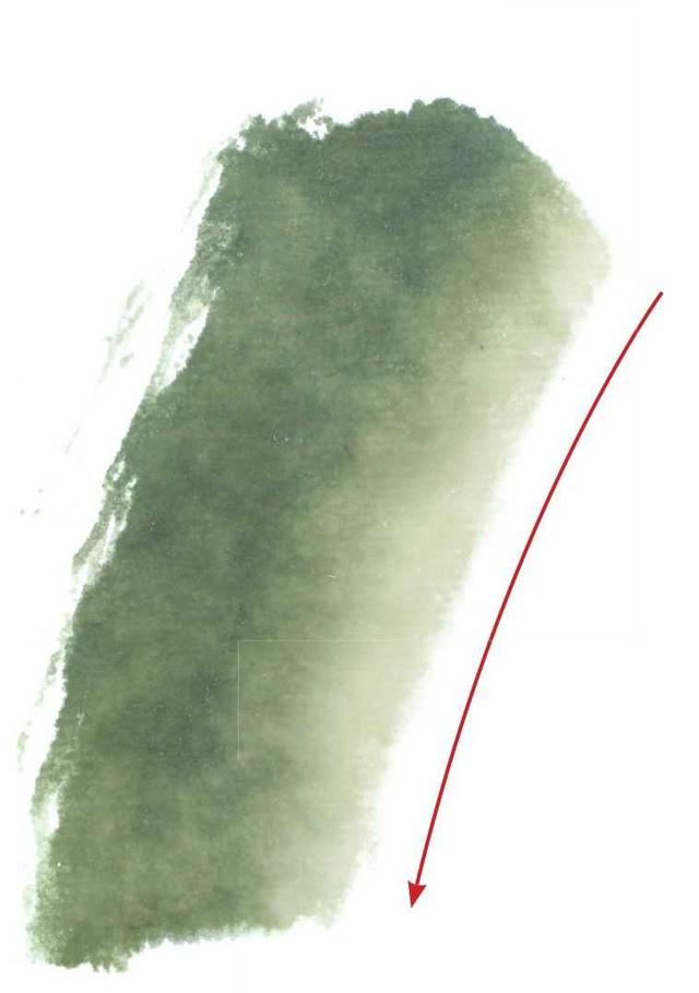 花卉国画教学视频,花卉画法教程中国画