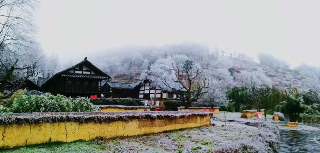 遵义金鼎山雪景,雪景景区推荐遵义