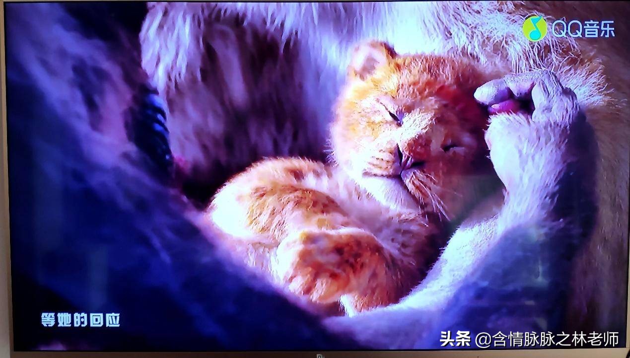 海美迪高清电视机顶盒评测,海美迪电视盒推荐