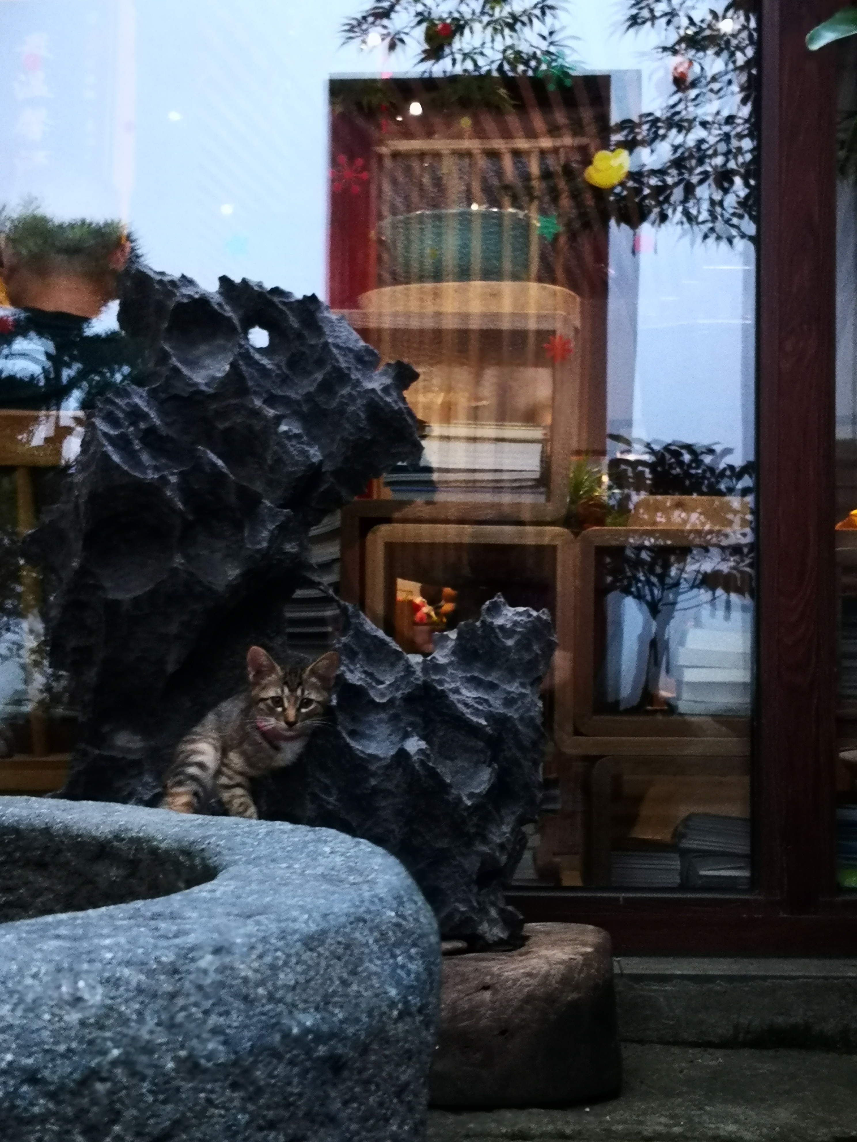 杭州西湖喝下午茶看风景的地方,西湖边赏景下午茶