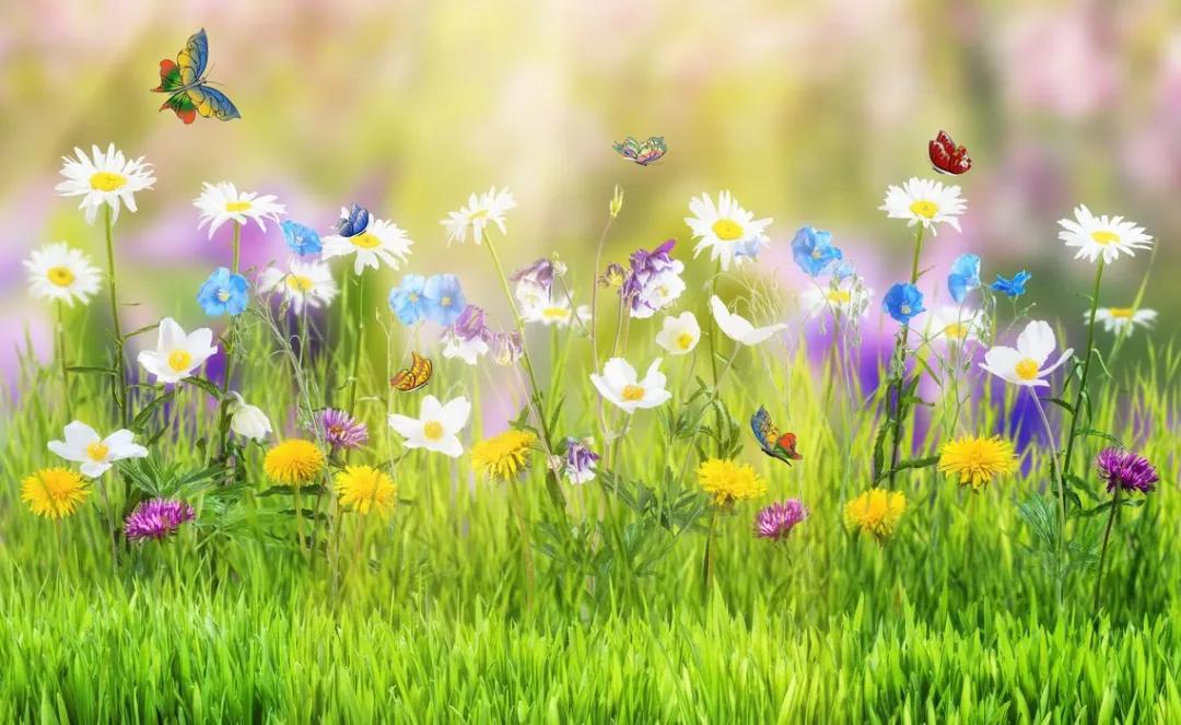 春天疏肝的茶有哪些牌子,春季养生煮茶疏肝理气配方大全