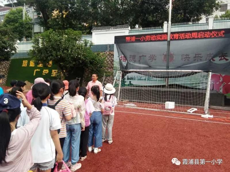 霞浦一中高一新生夏令营,霞浦县夏令营