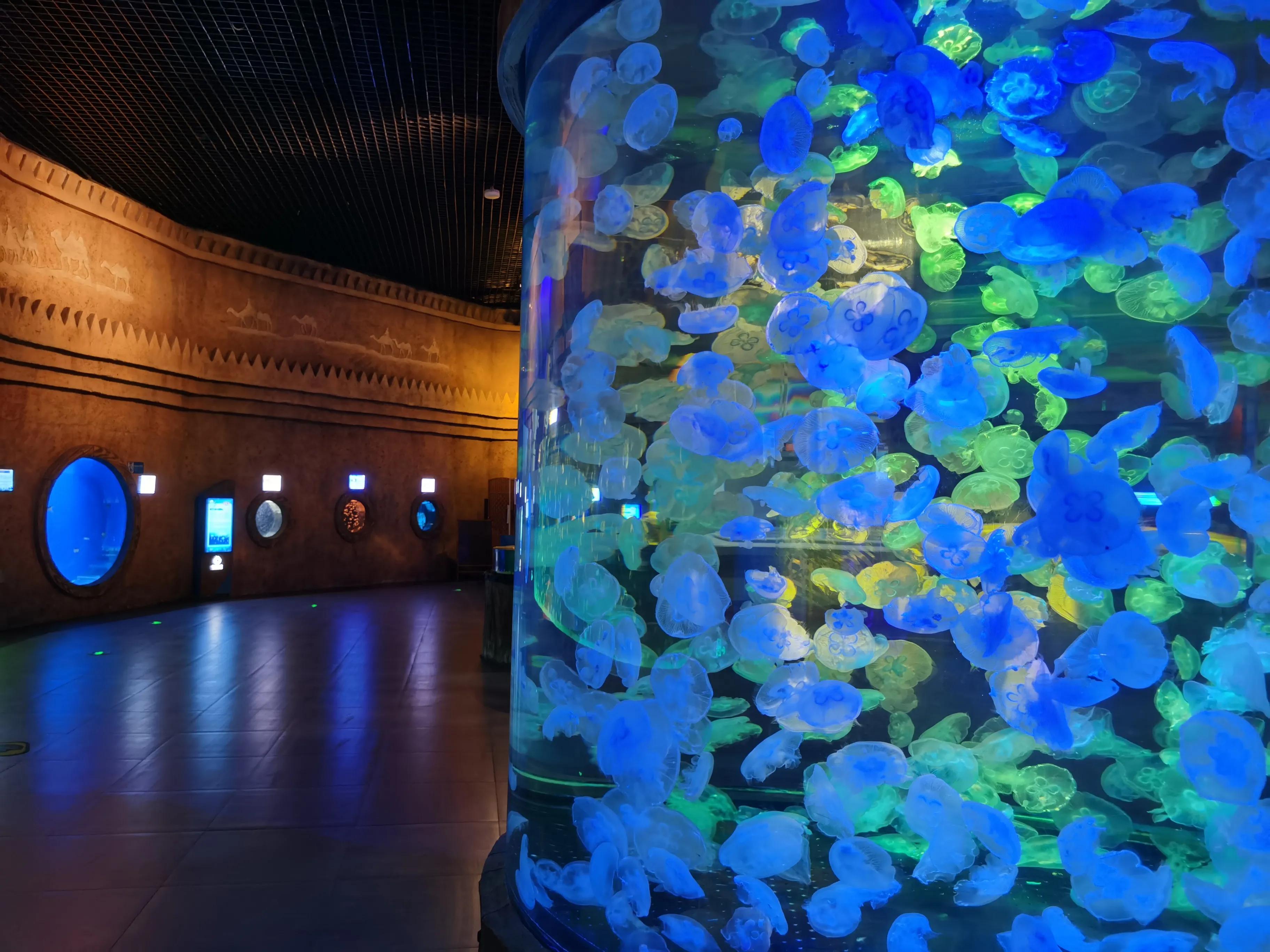 华夏文旅5d飞越丝路观看需要多久,西安华夏文旅丝路飞跃