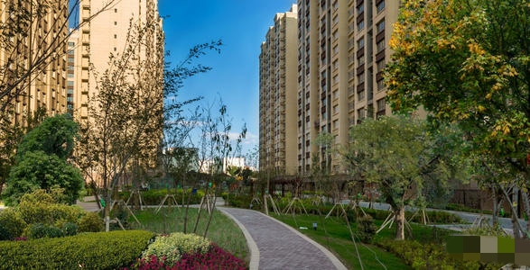 绿地城二期绿化乌鲁木齐,乌鲁木齐中海万锦公馆绿化环境