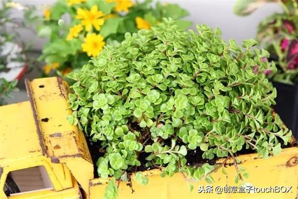 零一玩具改造,旧的玩具怎么改造好玩呢