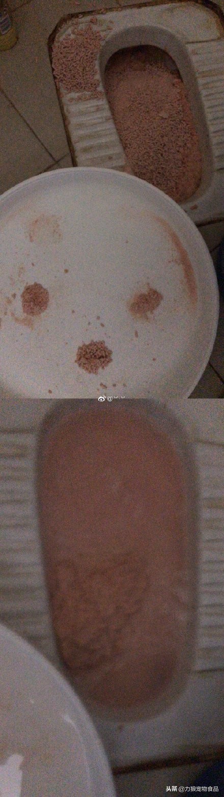 猫砂可以直接倒入马桶吗,猫砂可不可以倒入马桶