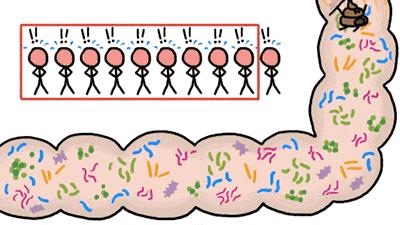 引起腹泻的原因科普,中西结合治疗功能性消化不良