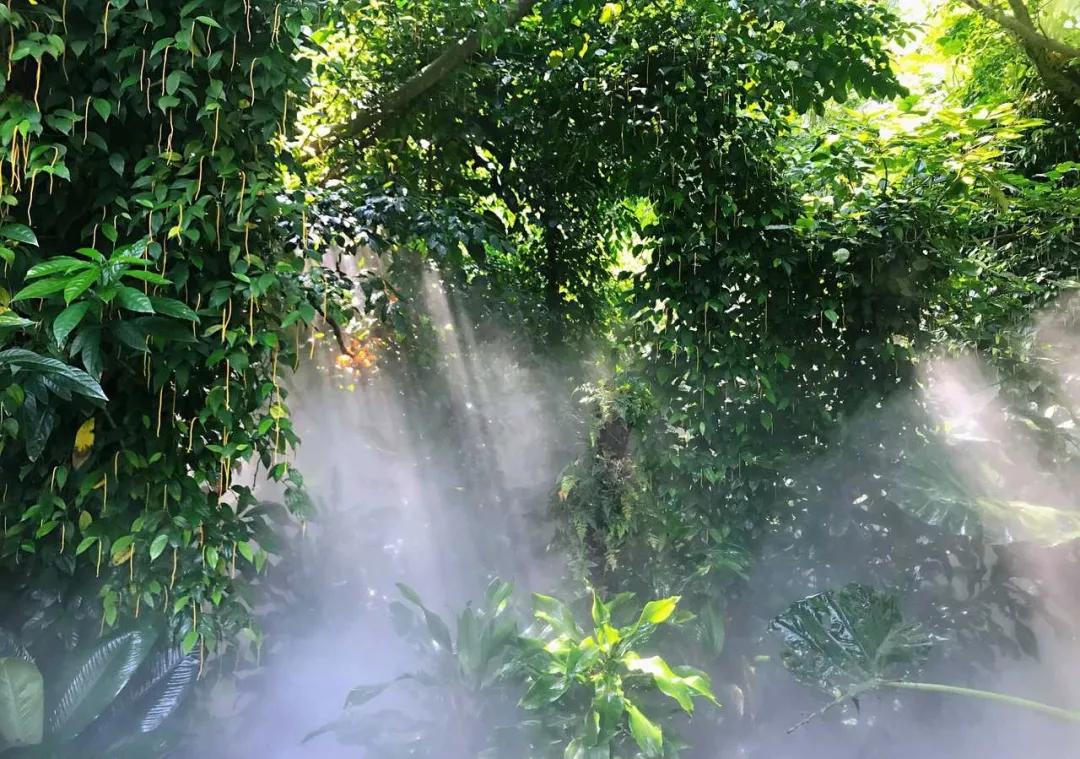 去厦门吹海风,来去厦门观光享受清凉的海风