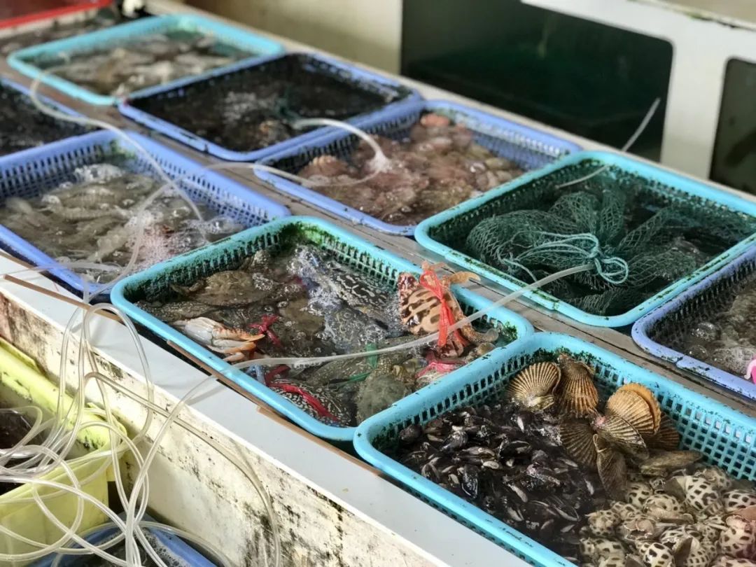 南澳岛小众隐藏景点,南澳岛2天1夜自驾游地图