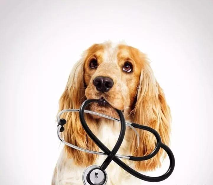 髋关节出了问题一个动作自测,这些症状你千万别再忽略了