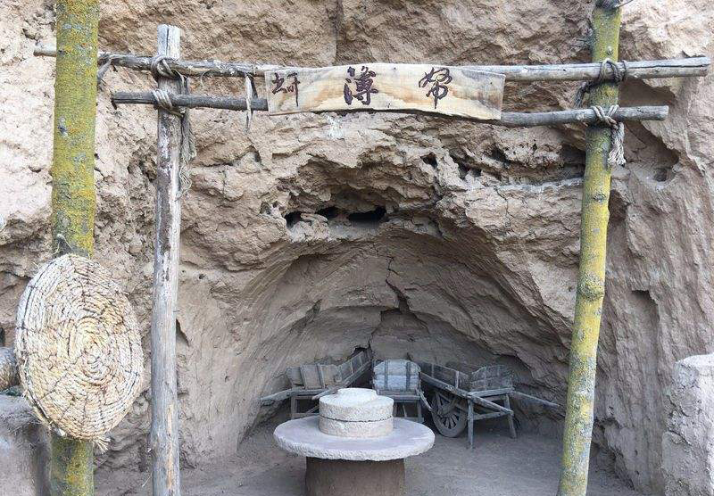 庆阳自然保护区,甘肃省有几个自然保护地