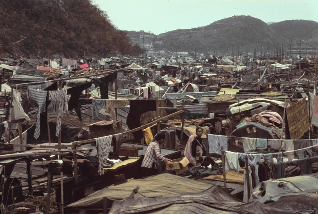 灵气逼人粤语在线看,灵气逼人粤语1080p