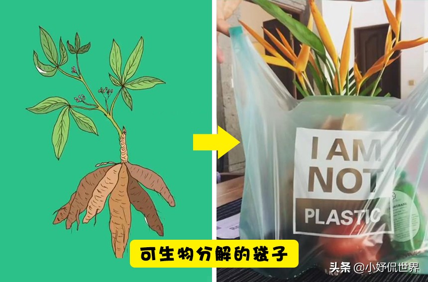 拯救地球环保,环保地球的新发明