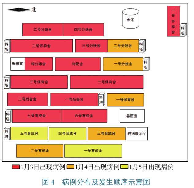 流行病学|一起猪群腹泻的紧急流行病学调查