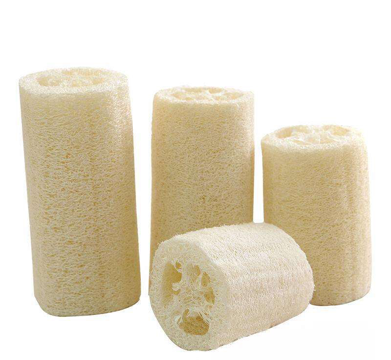 野生药材寻骨风,中药材寻骨风批发价格多少钱