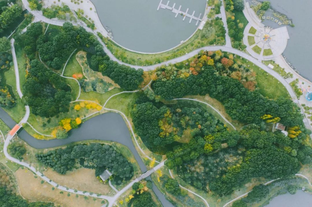 你一定没见过这样的新中式,东方绿舟特点