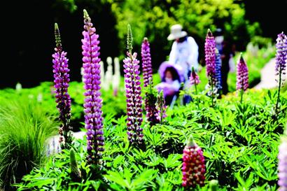 五一出行省内走走“家门口”旅游大礼包来了