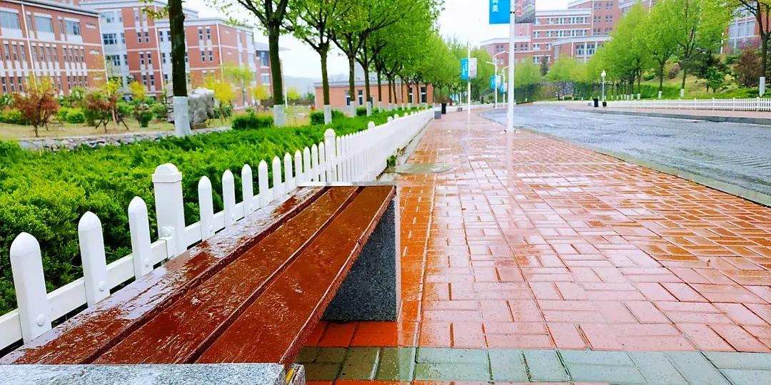 民办学校大连艺术学院全国排名,大连艺术学院辽宁排名