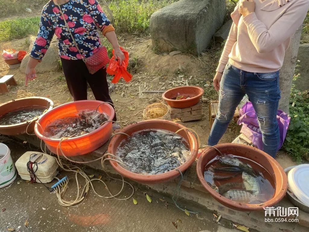 赚祖！这群莆田人靠着这些东西，就能日赚500块钱，厉害