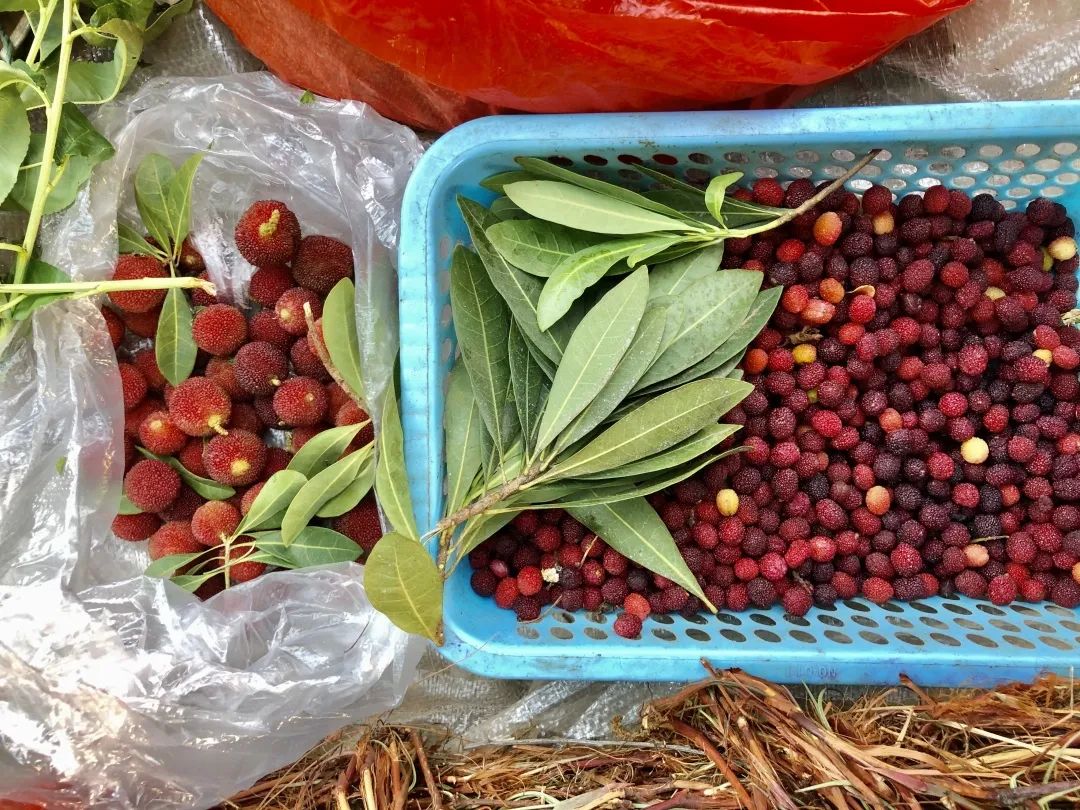 云南人最认同的本地食材,外省人来云南没有见过的菜