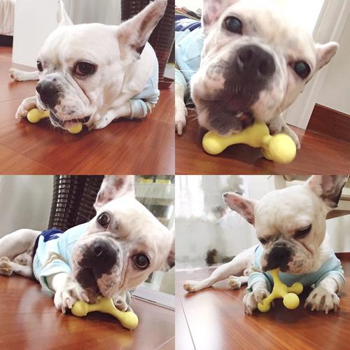 狗狗磨牙棒怎么做教程,狗狗磨牙棒的正确使用方法