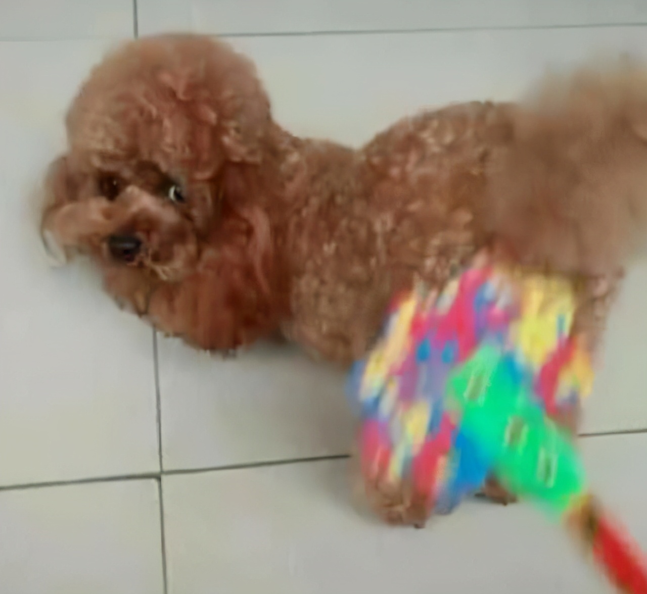 再生气也不能打孩子的几个部位,再生气都不能打的三个部位