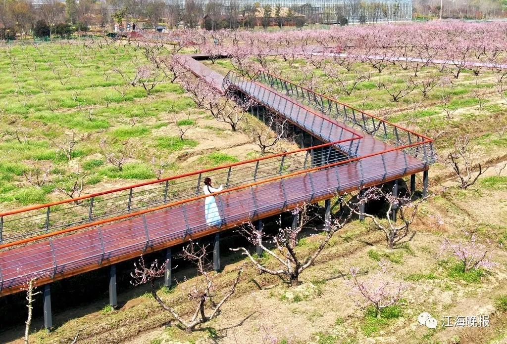 南通已经入春了吗,今年南通什么时候入春