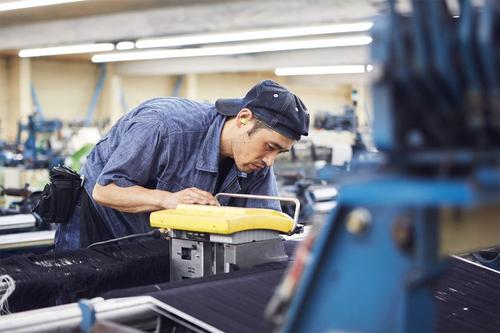 原牛便宜和贵的区别,原牛真的能养出来吗