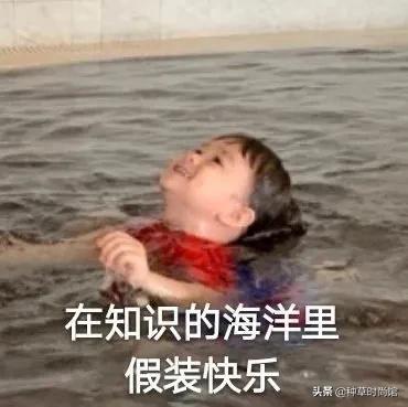 初恋裙是什么裙子,初恋裙子是什么东西