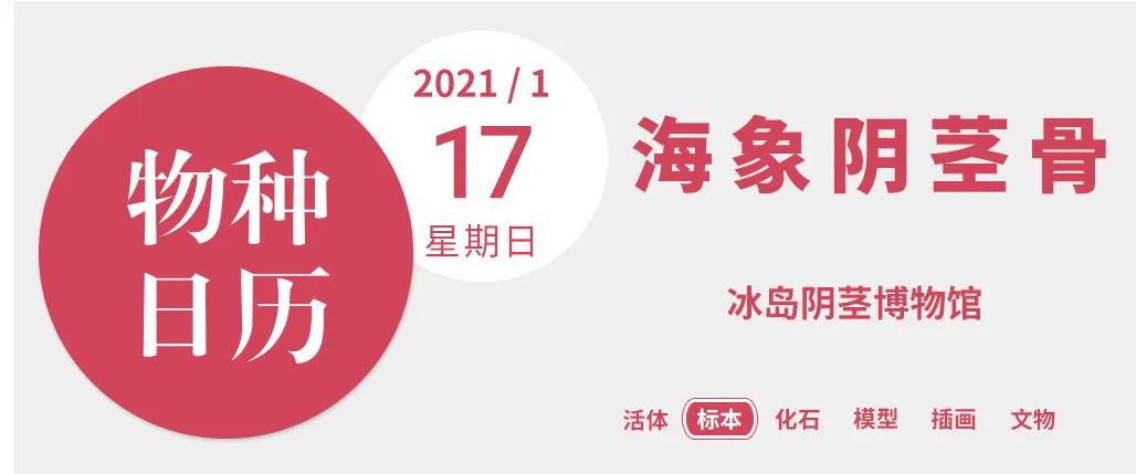 千奇百怪的动物合集,千奇百怪的动物系列