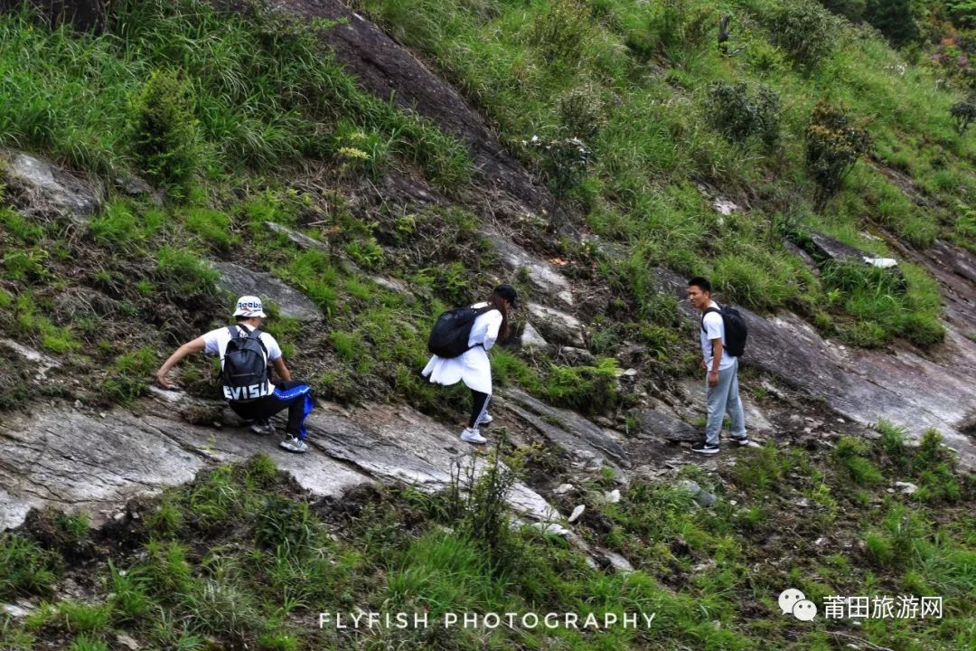 五月的山真的好美,五月的山的介绍