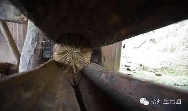 “茶油煮饭，锅底刮烂”！罗定的你试过了吗？