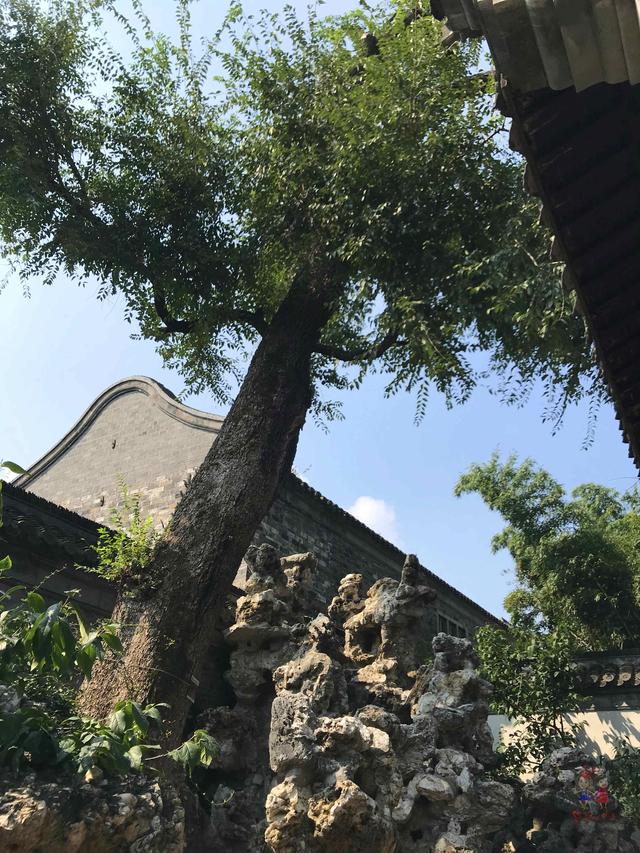 #全民热遗#扬州个园，“中国四大名园”，小园子却藏四季