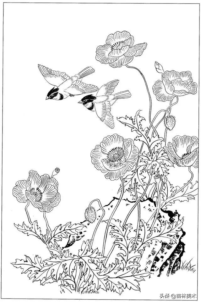 现代国画工笔花鸟白描及完整版,路雨年工笔白描花鸟团扇高清图片