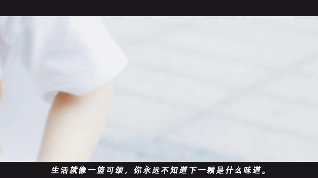 体育西蜂窝可颂,20+种口味!月售10w+