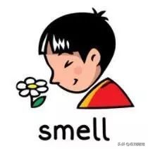 tpr英语教学法是什么,tpr启蒙英语教学课堂