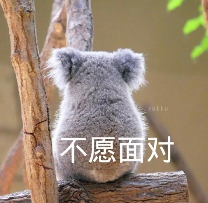 吃瓜沙雕表情包,征服买瓜表情包