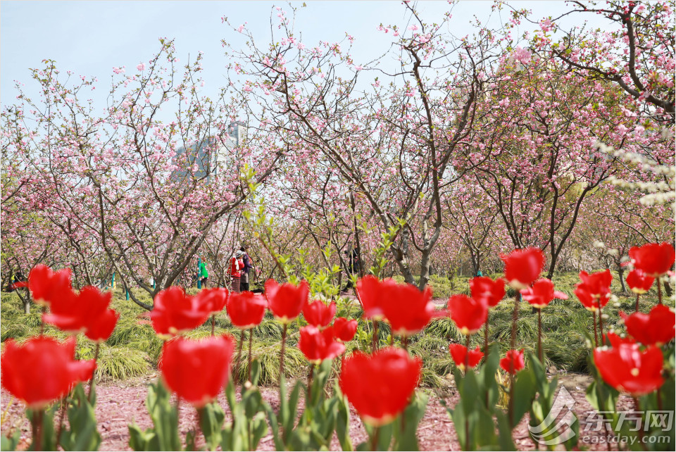 黄兴公园四季特色,黄兴公园美景