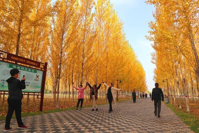 宁夏中卫旅游注意事项及时间表,宁夏中卫旅游攻略需要带什么