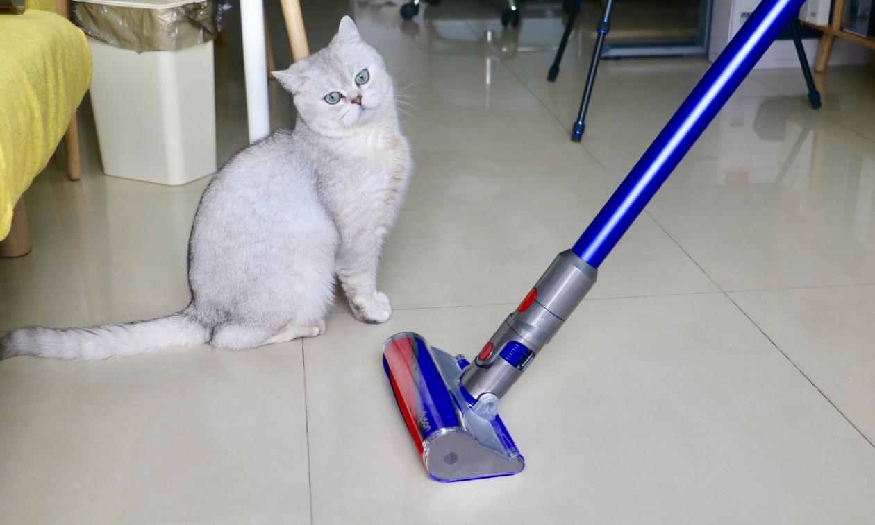 戴森v12强效续航,戴森v11续航