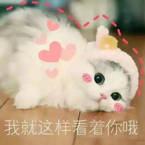 额头上的闭口怎么在家祛除,额头上的闭口怎样去除