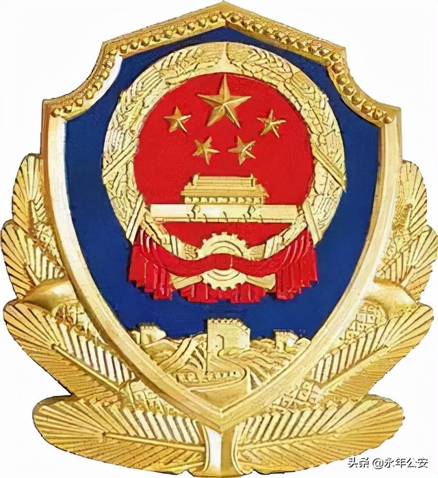 安顺警方破获一起特大网络贩枪案,砺剑铸盾方案