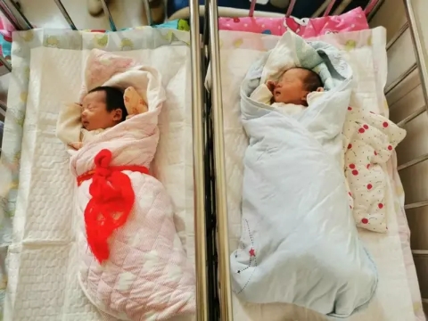 一张图读懂母乳和奶粉的区别,喂母乳和奶粉的宝宝有什么区别