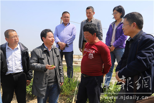 农科专家深入田间地头,科技专家进村春耕