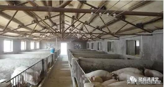 猪场猪栏,养猪栏的优缺点