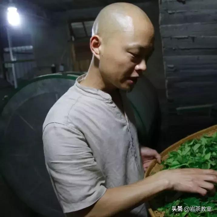 山场主人李新|母树白牡丹的价值回归