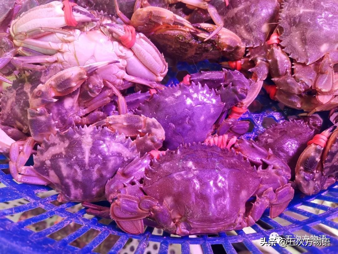 青岛海鲜市场价格表今日,青岛哪个农贸市场海鲜最便宜又好