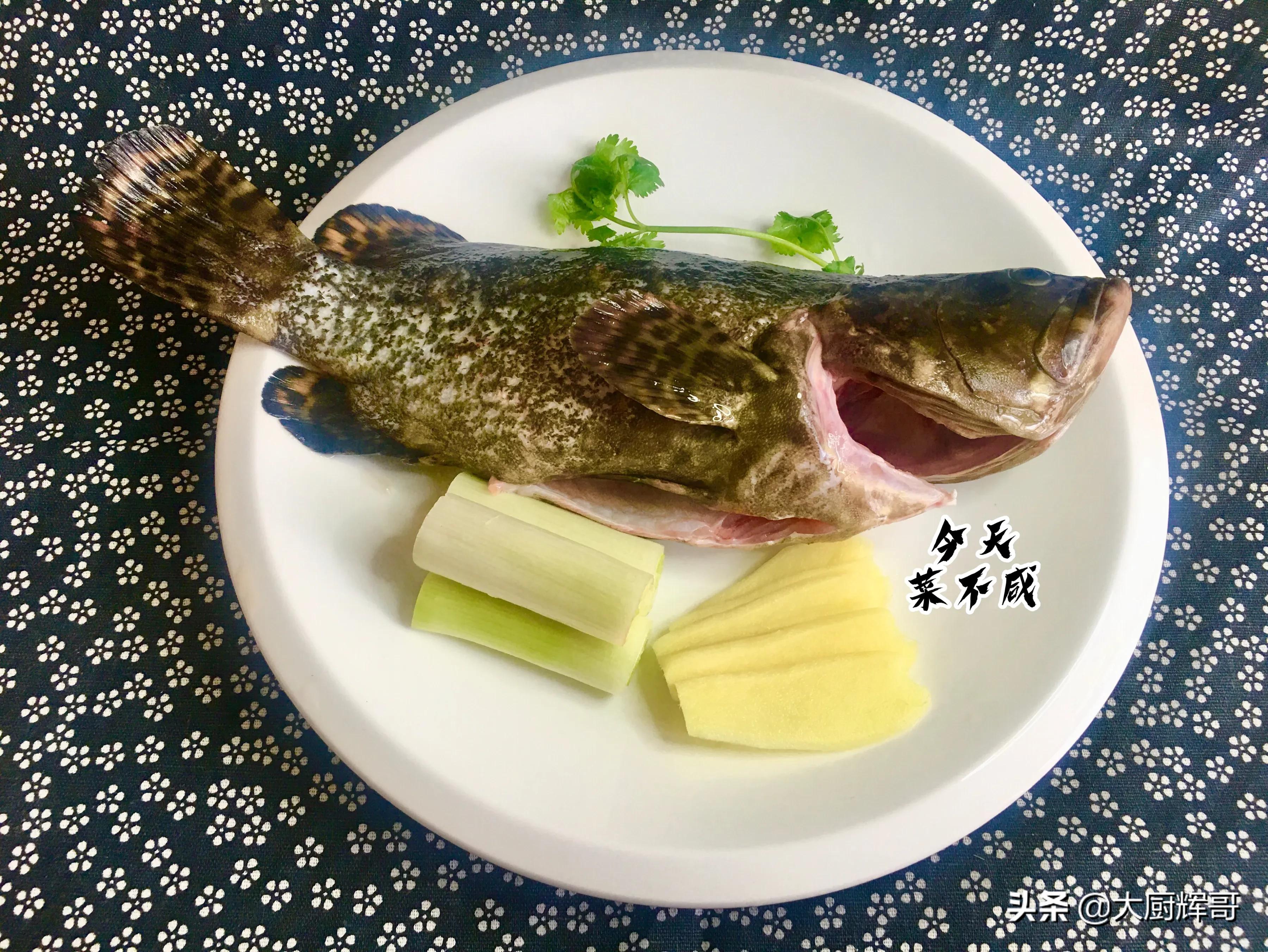 清蒸石斑鱼需要蒸多长时间和做法,清蒸石斑鱼蒸多久熟
